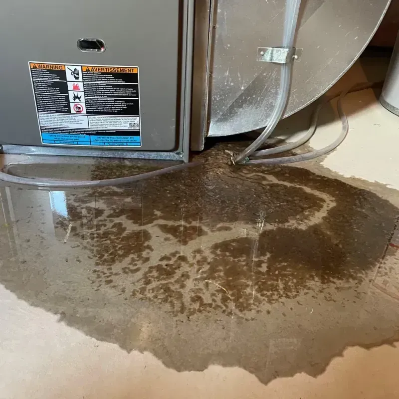 Appliance Leak Cleanup in Allamakee County, IA